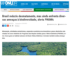 Article dP Amazonie paru sur site internet ONU Brésil. ©