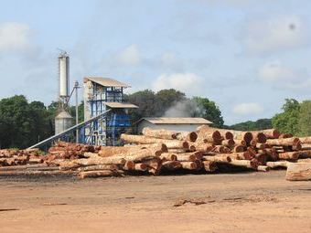 Industrie du bois en Amazonie. © dP Amazonie.