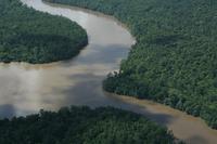 Fleuve Amazone, Brésil. © dP Amazonie.